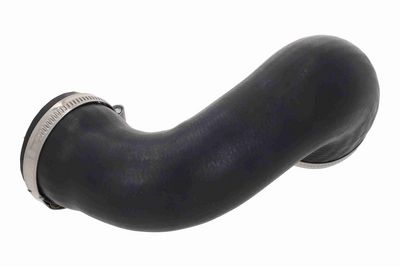 FURTUN ALIMENTARE AER ACKOJA A320229 1