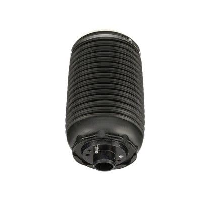 LUFTFEDER FAHRWERK Arnott A3295 70