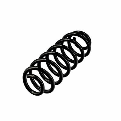 ARC SPIRAL EIBACH R10319 3