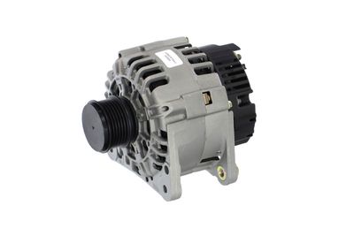 GENERATOR / ALTERNATOR REMANTE 011003000369R 8
