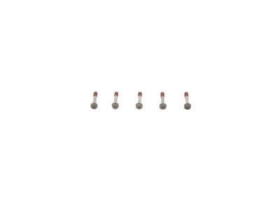 Screw