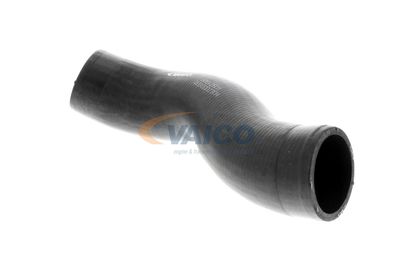 LADELUFTSCHLAUCH VAICO V302501 17