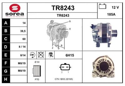 GENERATOR / ALTERNATOR