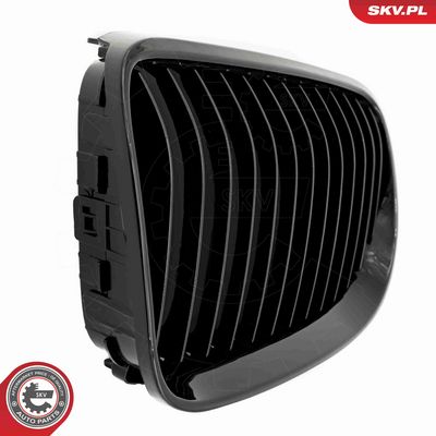 GRILA RADIATOR ESEN SKV 66SKV112 6