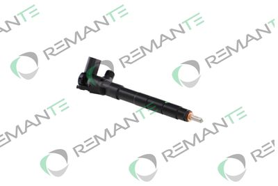 INJECTOR REMANTE 002003001411R 3