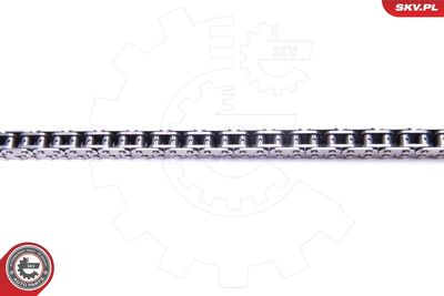 Timing Chain Kit 21SKV221