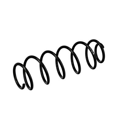 ARC SPIRAL EIBACH R10034 17