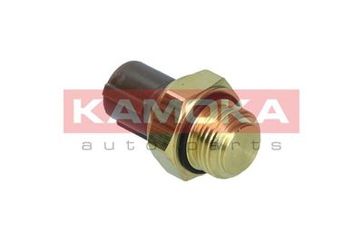 Temperature Switch, radiator fan 4090020