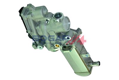 SUPAPA RECIRCULARE GAZE DE ESAPAMENT