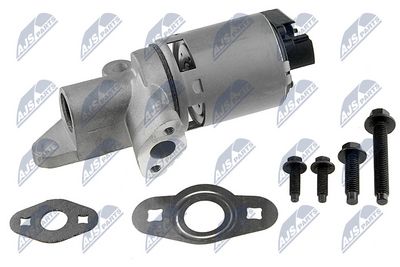 AGR-Ventil NTY EGR-CH-002