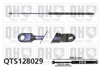 Газовая пружина, крышка багажник QUINTON HAZELL QTS128029 для FIAT 131