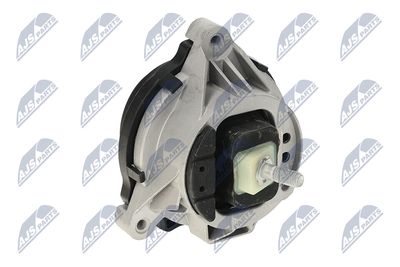 SUPORT MOTOR NTY ZPSBM063 31