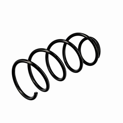 ARC SPIRAL EIBACH R10223 16