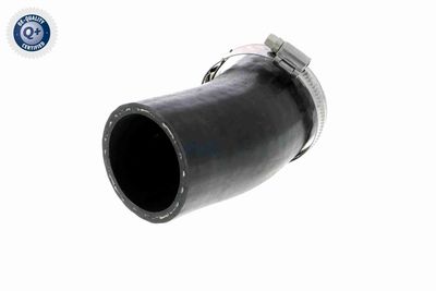 FURTUN EAR SUPRAALIMENTARE VAICO V103803 4