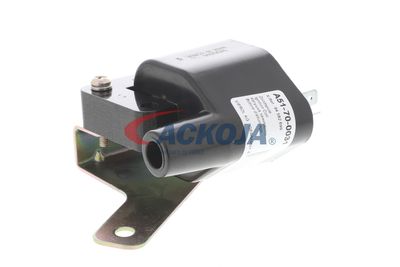 BOBINA DE INDUCTIE ACKOJA A51700031 55