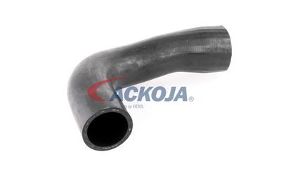 FURTUN EAR SUPRAALIMENTARE ACKOJA A389600 52