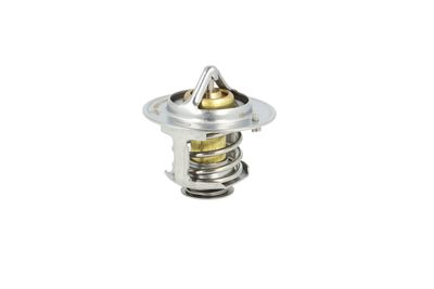 TERMOSTAT LICHID RACIRE NRF 725484 15