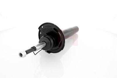 AMORTIZOR GH GH351572V 12
