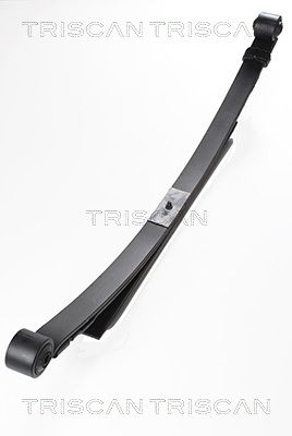 TRISCAN Federnpaket