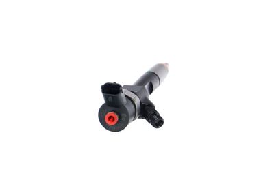 INJECTOR REMANTE 002003000022R 29