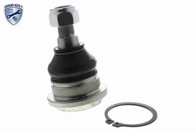 ARTICULATIE SARCINA/GHIDARE