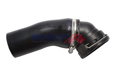 FURTUN EAR SUPRAALIMENTARE BOGAP B1711157 3