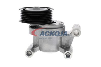 INTINZATOR CUREA CUREA DISTRIBUTIE ACKOJA A320602 13