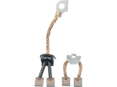 Anglies šepetėlis, starteris