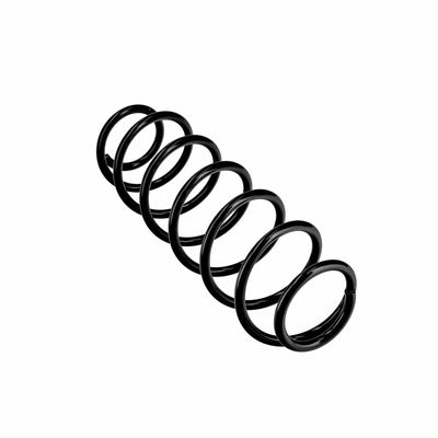 ARC SPIRAL EIBACH R10496 11