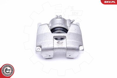 Brake Caliper 46SKV931