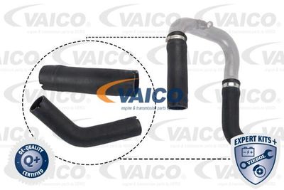 Трубка нагнетаемого воздуха VAICO V24-0734 для ALFA ROMEO MITO