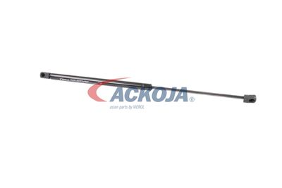AMORTIZOR PORTBAGAJ ACKOJA A320132 15