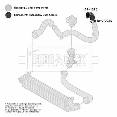 Charge Air Hose Borg & Beck BTH1525