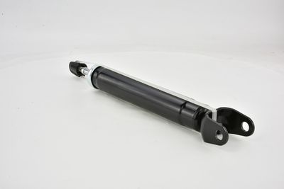 AMORTIZOR FEBEST 20110002R 34