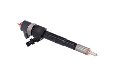 INJECTOR REMANTE 002003000028R 46