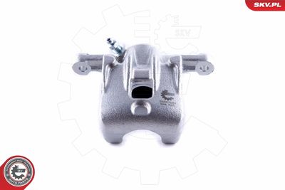 Brake Caliper 55SKV083