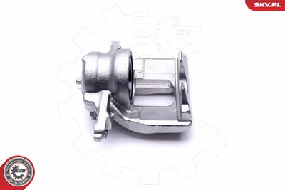 Brake Caliper 46SKV961