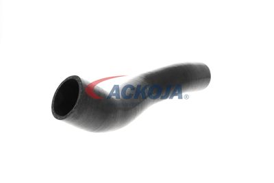 FURTUN EAR SUPRAALIMENTARE ACKOJA A389605 28