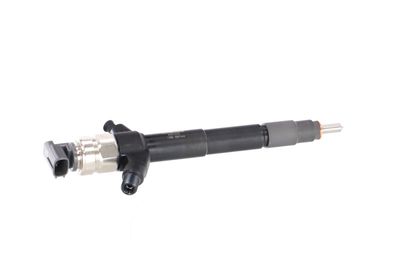 INJECTOR REMANTE 002003001019R 39