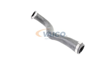 LADELUFTSCHLAUCH VAICO V103817 17
