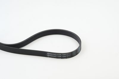 CONTINENTAL CTAM Keilrippenriemen