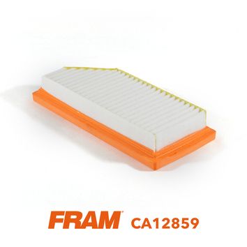 FRAM CA12859
