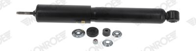 Shock Absorber D5495S