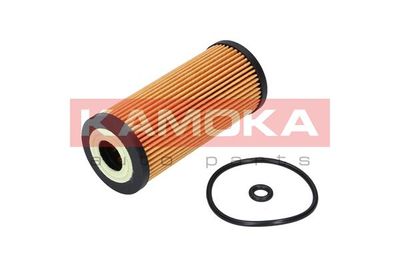 Oil Filter F108801