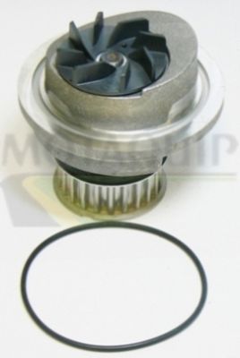 POMPă DE APă RăCIRE MOTOR MOTAQUIP VWP828 1