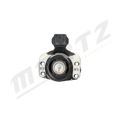 variklio montavimas M-S5430 MERTZ