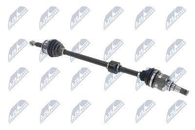 PLANETARA NTY NPWTY250 29