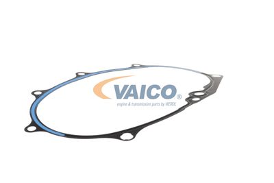 DICHTUNG STEUERGEHäUSE VAICO V105594 33