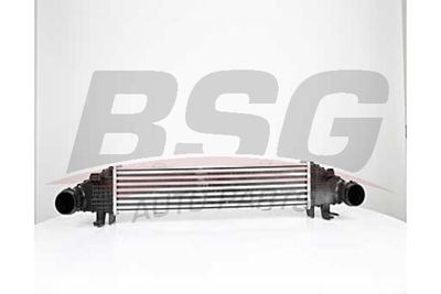 BSG BSG 60-535-004 Інтеркулер 