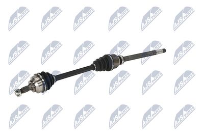 PLANETARA NTY NPWPE124 21